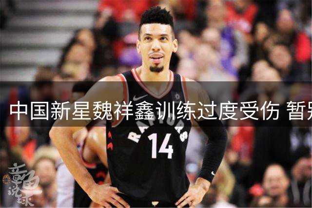 中国新星魏祥鑫训练过度受伤 暂别法甲一线队