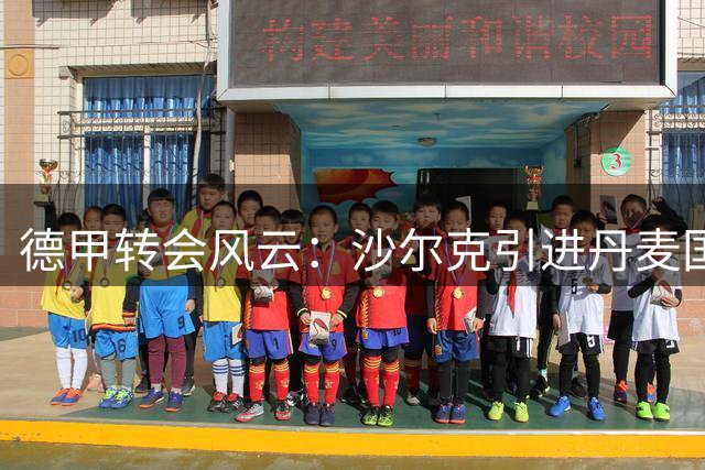 德甲转会风云：沙尔克引进丹麦国脚谈判破裂 分歧聚焦买断条款