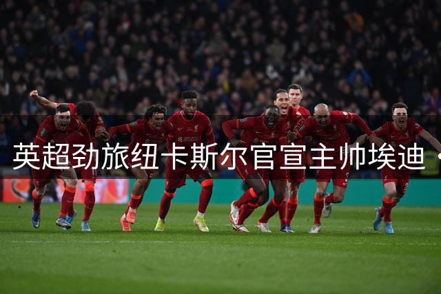 英超劲旅纽卡斯尔官宣主帅埃迪·豪下课 执教生涯迎转折点